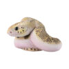 AHB-V23-02-04 AHB Series 23 - Pine Snake – Pituophis melanoleucus | Snake