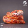 AHB-V23-03-01 AHB Series 23 - Corn Snake – Pantherophis guttatus | Snake