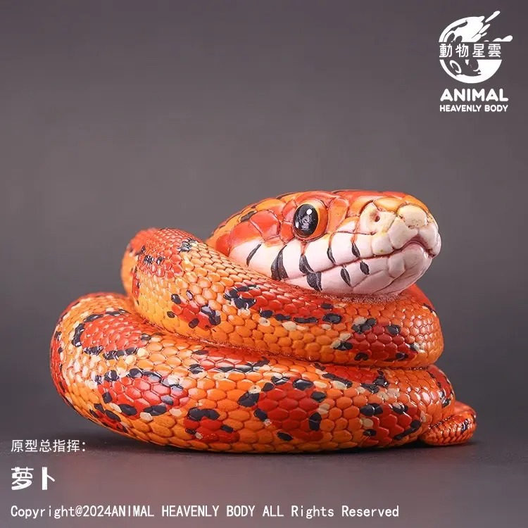 AHB-V23-03-01 AHB Series 23 - Corn Snake – Pantherophis guttatus | Snake