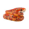 AHB-V23-03-02 AHB Series 23 - Corn Snake – Pantherophis guttatus | Snake