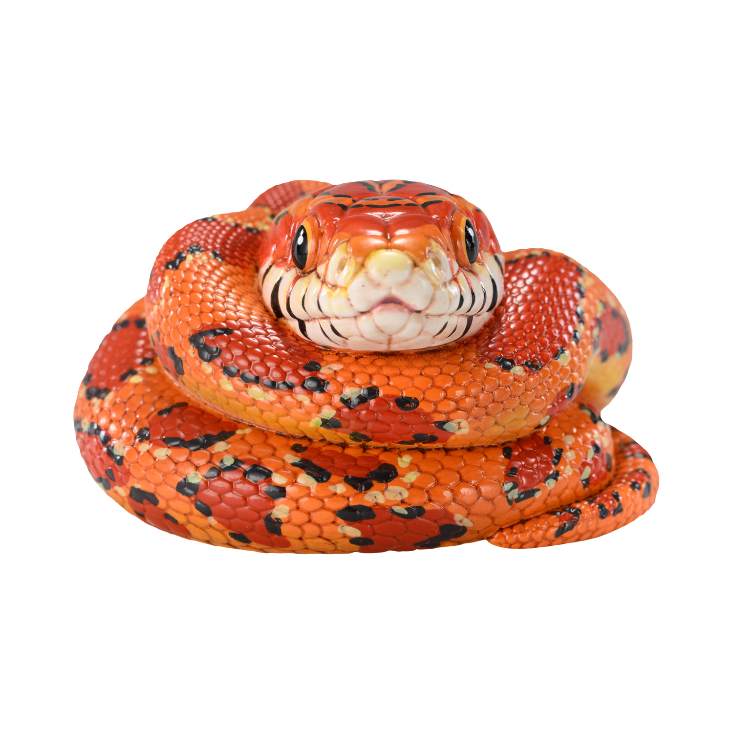 AHB-V23-03-04 AHB Series 23 - Corn Snake – Pantherophis guttatus | Snake