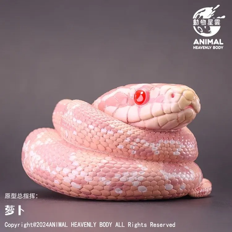 AHB Series 23 - Corn Snake (Coral Snow) – Pantherophis guttatus | Snake