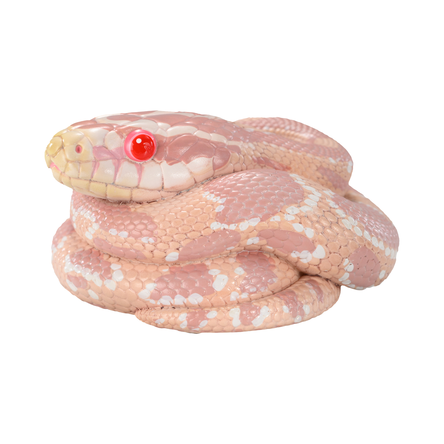AHB Series 23 - Corn Snake (Coral Snow) – Pantherophis guttatus | Snake