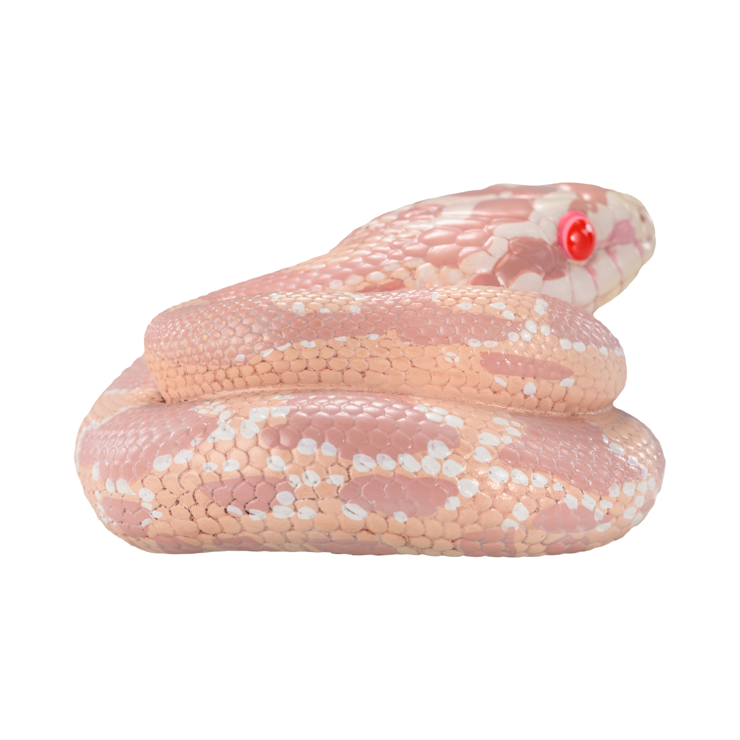 AHB Series 23 - Corn Snake (Coral Snow) – Pantherophis guttatus | Snake