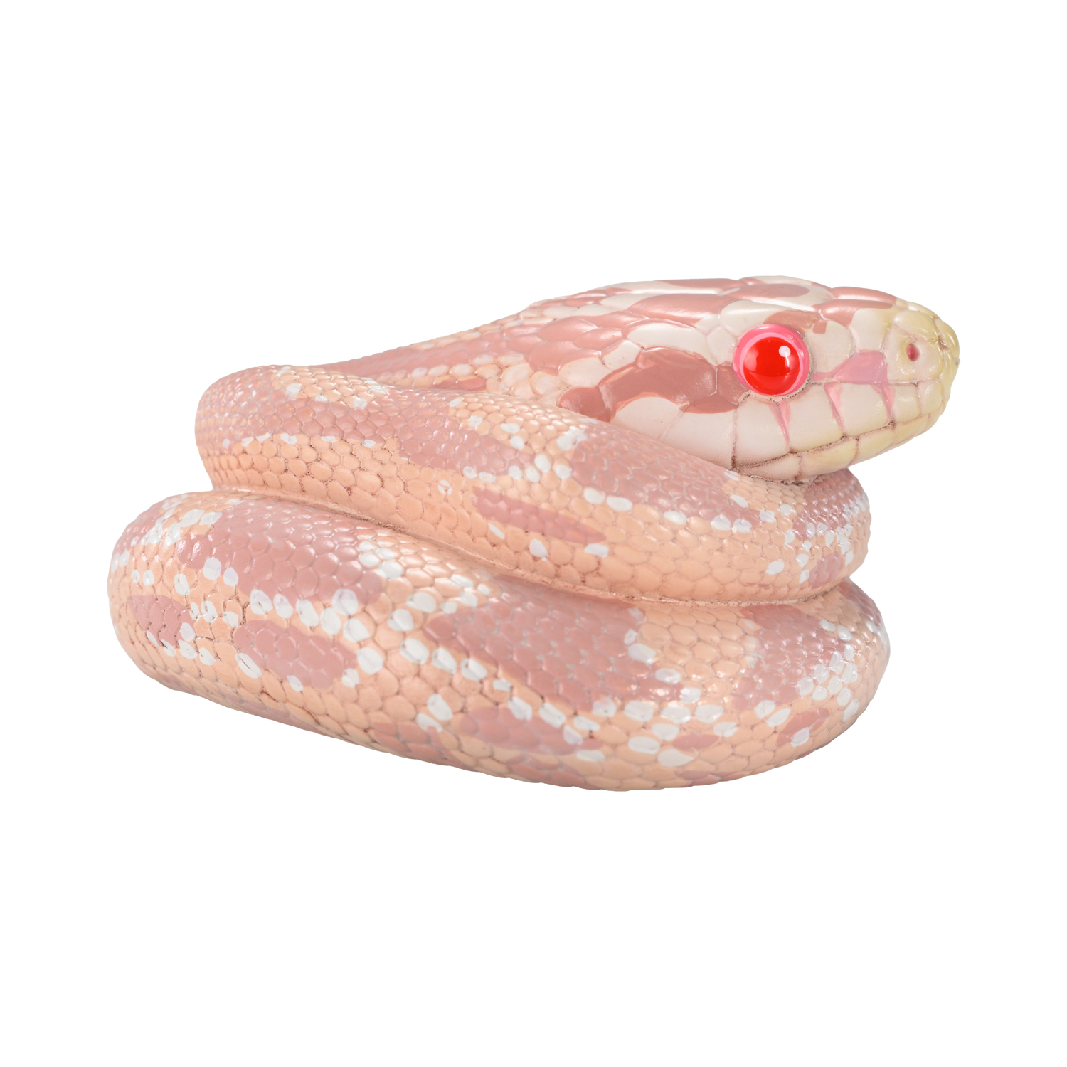 AHB Series 23 - Corn Snake (Coral Snow) – Pantherophis guttatus | Snake