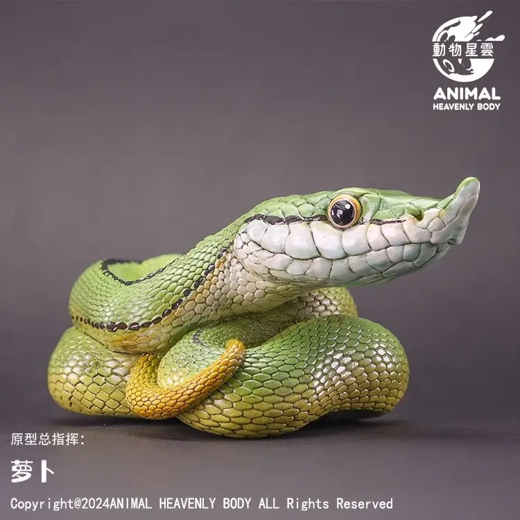 AHB Series 23 - Baron&rsquo;s Green Racer – Philodryas baroni | Snake