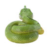 AHB Series 23 - Baron&rsquo;s Green Racer – Philodryas baroni | Snake