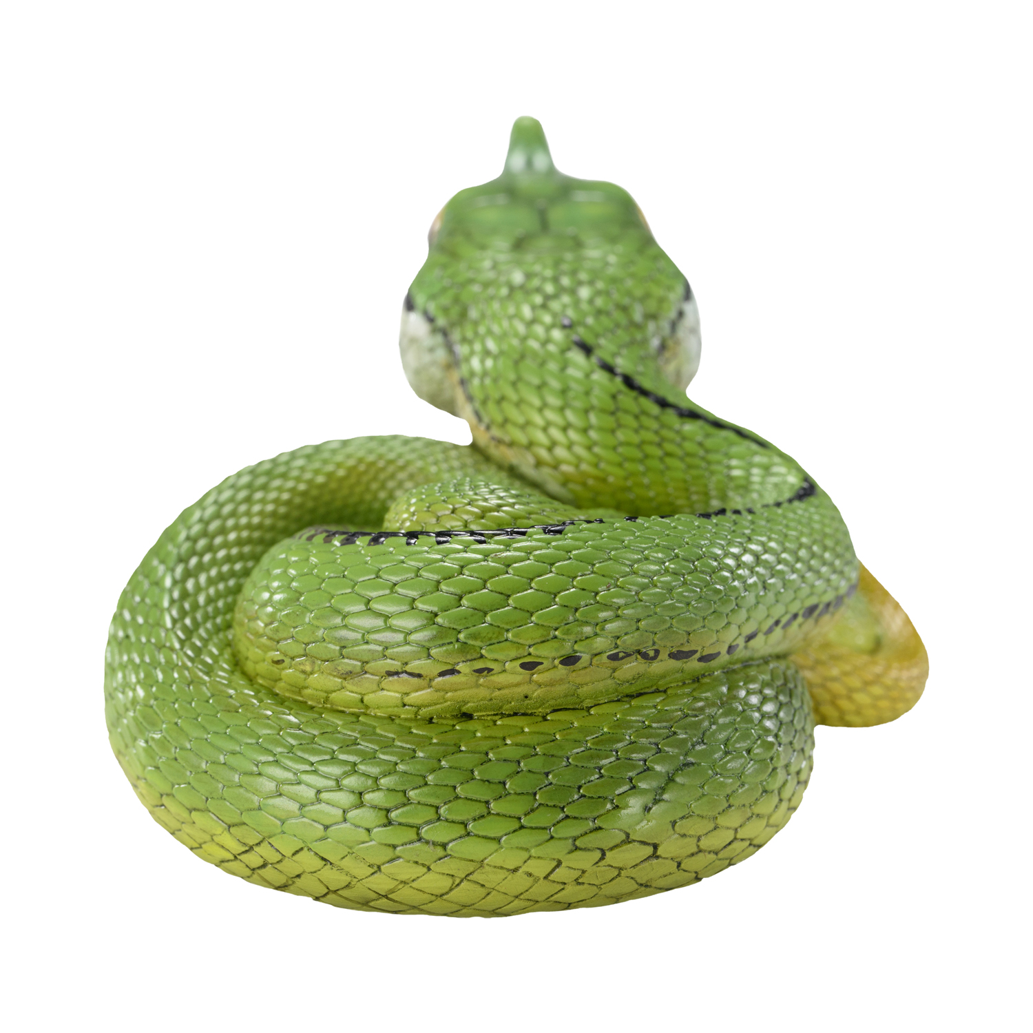 AHB Series 23 - Baron&rsquo;s Green Racer – Philodryas baroni | Snake