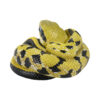 AHB Series 23 - Taiwan Beauty Snake – Elaphe taeniura friesi | Snake