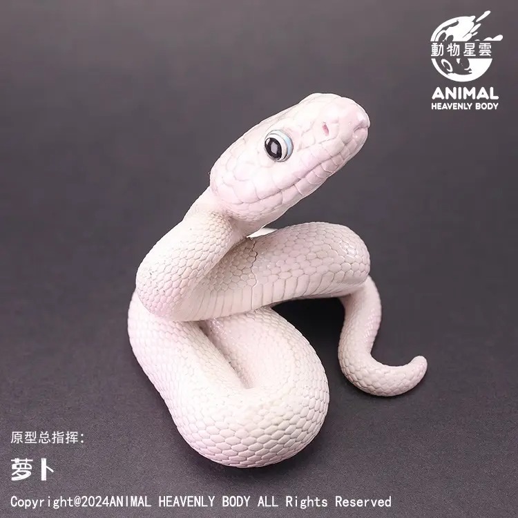 AHB Series 23 - Texas Rat Snake (Leucistic) – Elaphe obsoleta lindheimeri | Snake