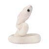AHB Series 23 - Texas Rat Snake (Leucistic) – Elaphe obsoleta lindheimeri | Snake