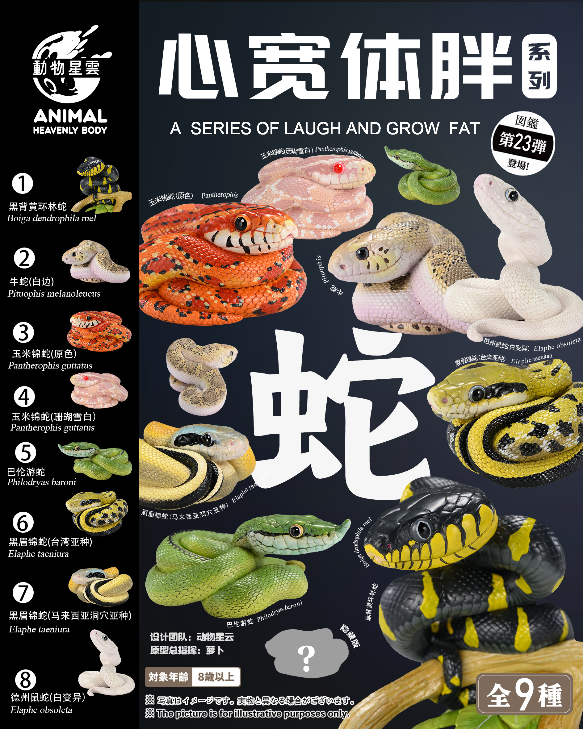 AHB-V23-Poster AHB Series 23 - Pine Snake – Pituophis melanoleucus | Snake