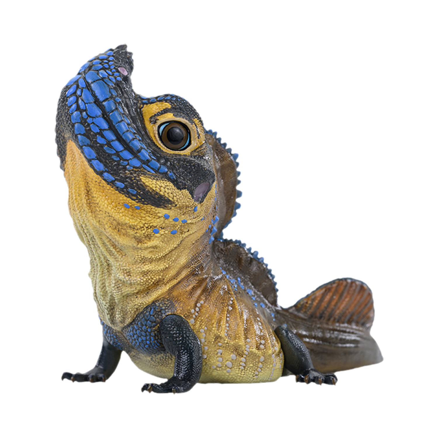 AHB Series 24 - Philippine Sailfin Lizard – Hydrosaurus pustulatus | Lizard