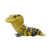 AHB-V24-04-01 AHB Series 24 - Cuming’s Water Monitor – Varanus cumingi | Lizard
