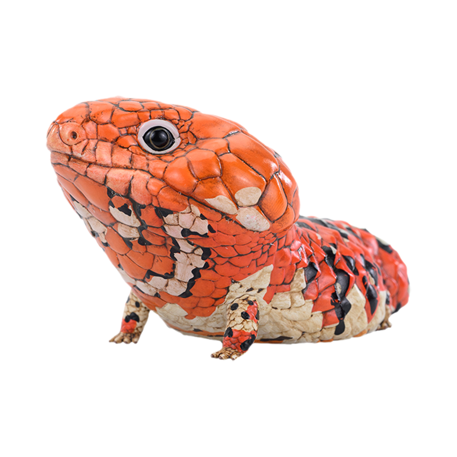 AHB Series 24 - Shingleback Skink – Tiliqua rugosa rugosa | Lizard