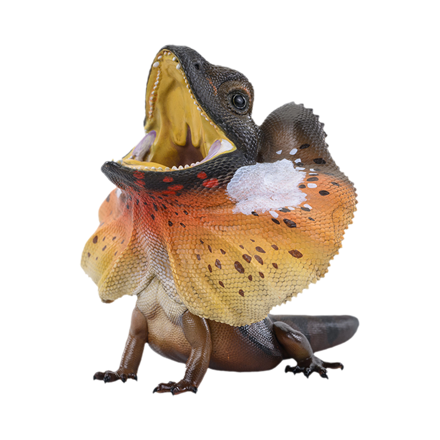 AHB Series 24 - Frilled Lizard – Chlamydosaurus kingii | Lizard