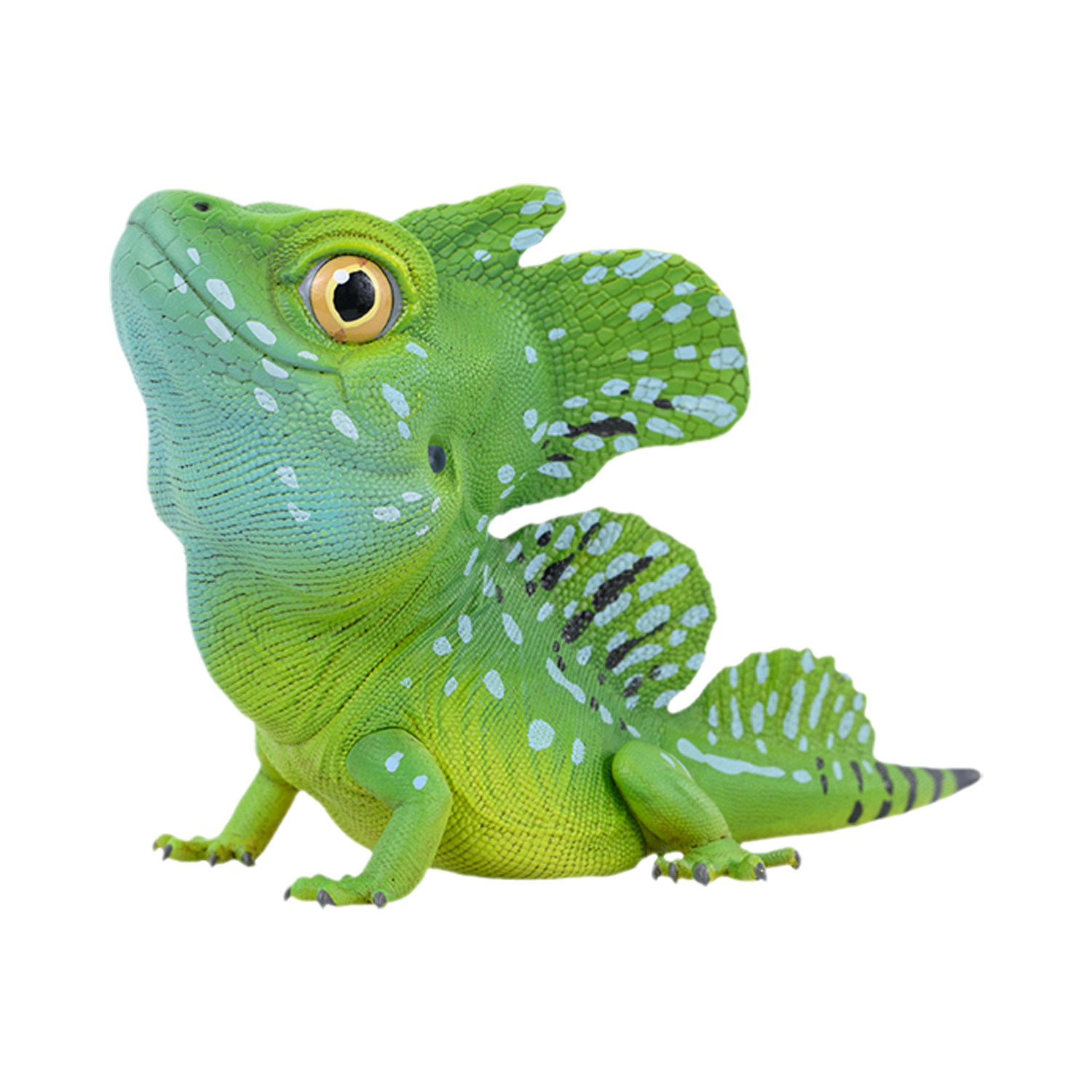 AHB-V24-07-01 AHB Series 24 - Green Basilisk – Basiliscus plumifrons | Lizard
