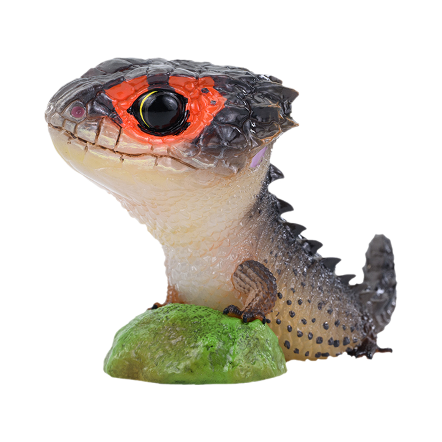 AHB Series 24 - Red-Eyed Crocodile Skink – Tribolonotus gracilis | Lizard