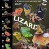 AHB Series 24 - Komodo Dragon – Varanus komodoensis | Lizard