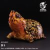 AHB-V25-03-01 AHB Series 25 - Eastern Box Turtle (Orange) – Terrapene carolina carolina | Turtle