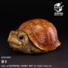 AHB-V25-06-01 AHB Series 25 - Spotted Box Turtle – Terrapene nelsoni | Turtle