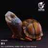 AHB-V25-08-01 AHB Series 25 - Mexican Box Turtle – Terrapene mexicana | Turtle