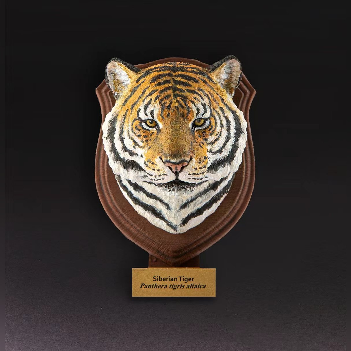 AHB-WA1-01-01-e6008323 Animal Heavenly Body - World Encyclopedia of Animals Vol.1 Siberian Tiger | Figure