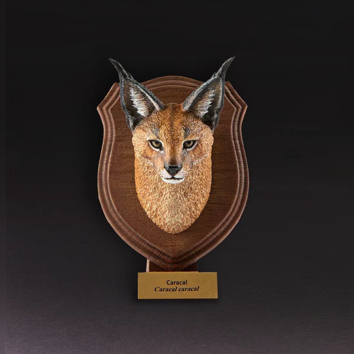 AHB-WA1-02-4b097629 Animal Heavenly Body - World Encyclopedia of Animals Vol.1 Caracal | Figure