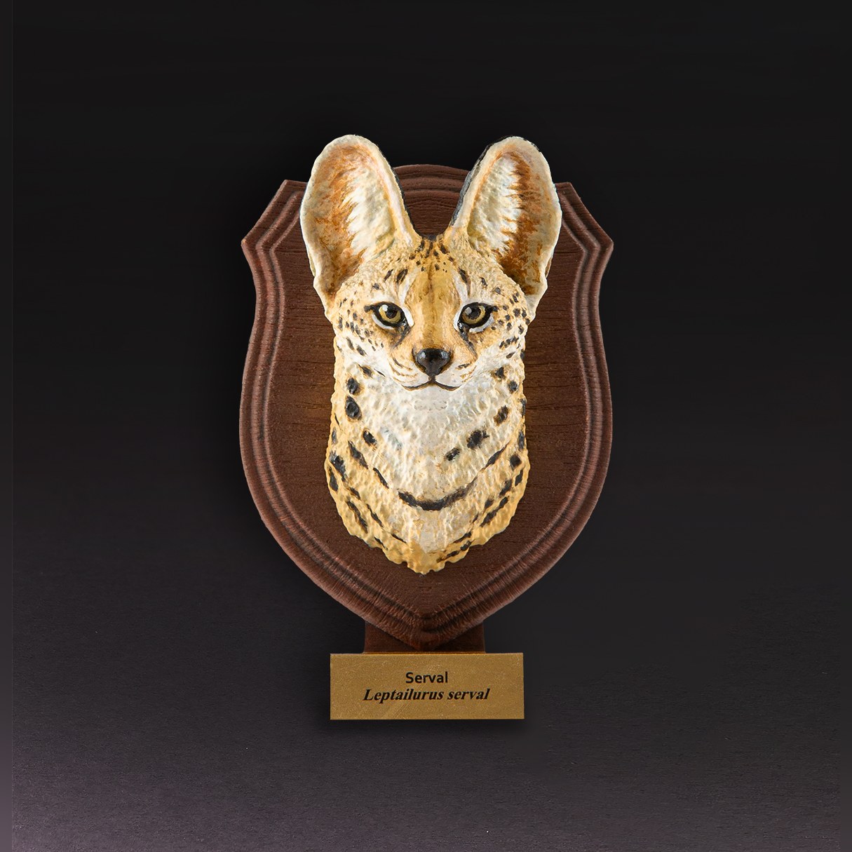 AHB-WA1-03-01-e3cdc61d Animal Heavenly Body - World Encyclopedia of Animals Vol.1 Serval | Figure