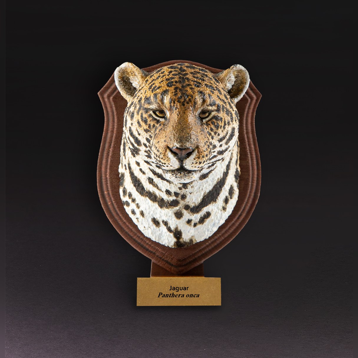 AHB-WA1-04-01-b13a4381 Animal Heavenly Body - World Encyclopedia of Animals Vol.1 Jaguar | Figure