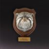 AHB-WA1-05-62a8575d Animal Heavenly Body - World Encyclopedia of Animals Vol.1 Pallas's Cat | Figure