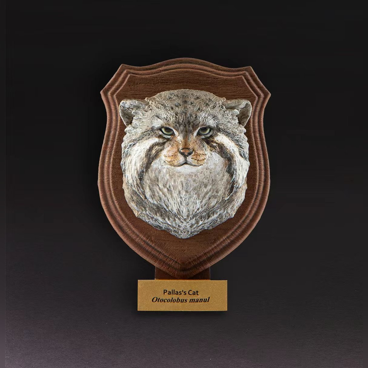 AHB-WA1-05-62a8575d Animal Heavenly Body - World Encyclopedia of Animals Vol.1 Pallas's Cat | Figure