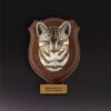 AHB-WA1-06-01-6b2fac8a Animal Heavenly Body - World Encyclopedia of Animals Vol.1 Asiatic Golden Cat | Figure