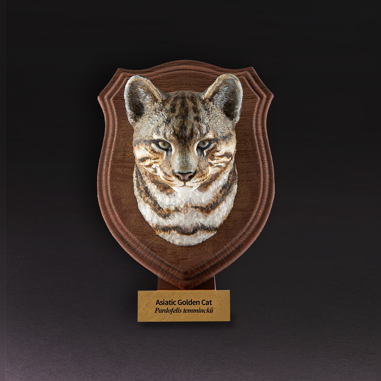 AHB-WA1-06-01-6b2fac8a Animal Heavenly Body - World Encyclopedia of Animals Vol.1 Asiatic Golden Cat | Figure