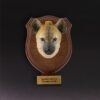 AHB-WA1-07-d282372c Animal Heavenly Body - World Encyclopedia of Animals Vol.1 Spotted Hyaena | Figure