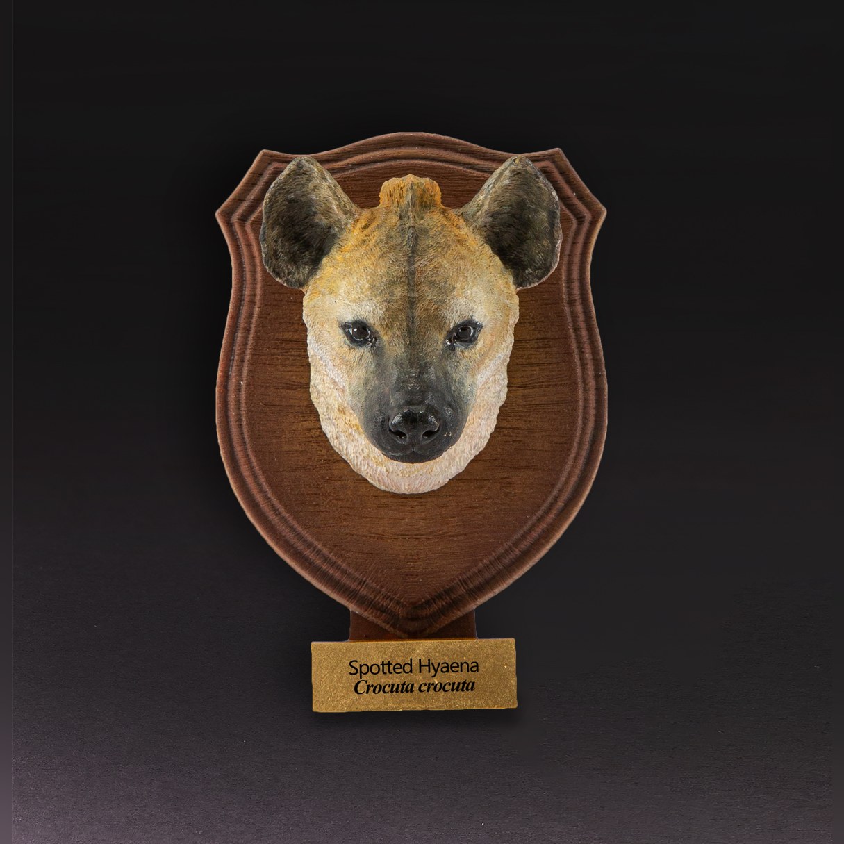 AHB-WA1-07-d282372c Animal Heavenly Body - World Encyclopedia of Animals Vol.1 Spotted Hyaena | Figure