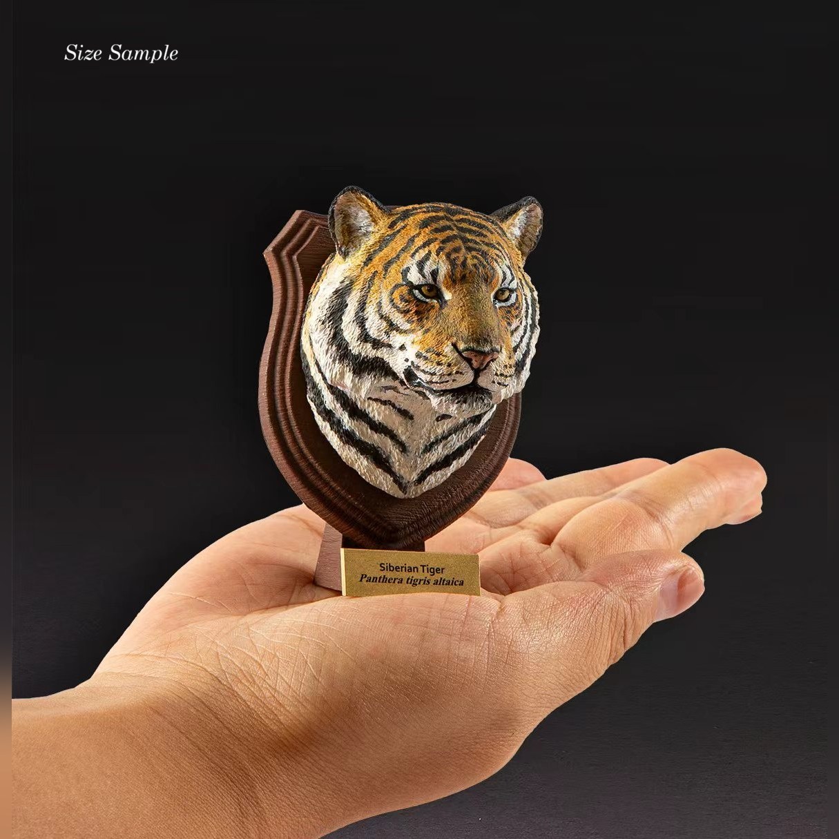 AHB-WA1-Size-aff2d012 Animal Heavenly Body - World Encyclopedia of Animals Vol.1 Serval | Figure
