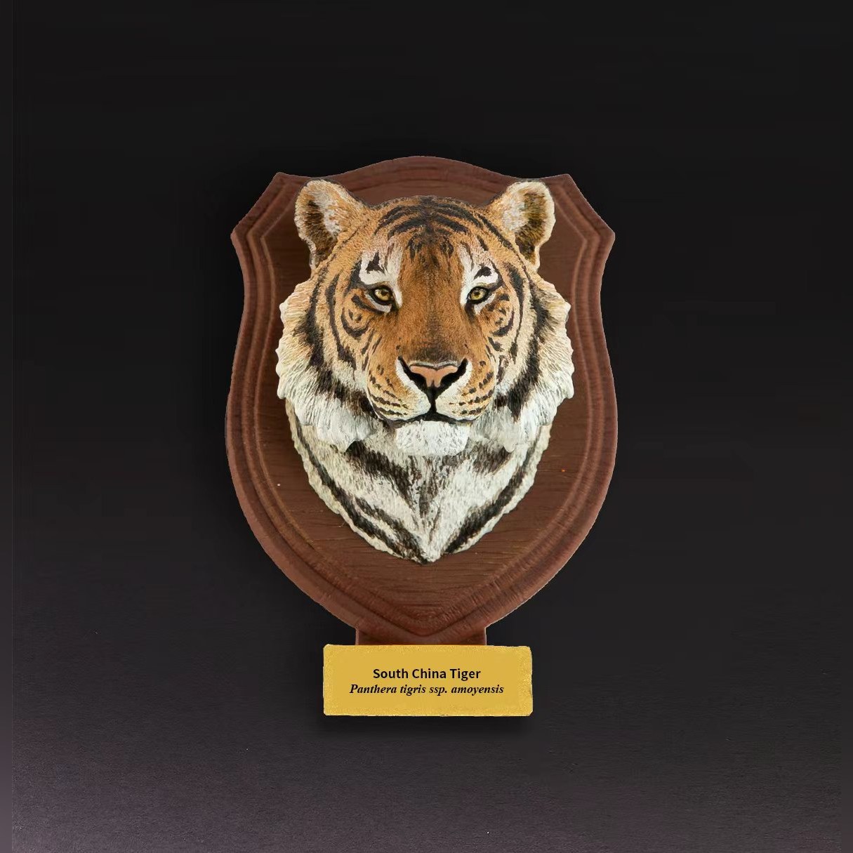 AHB-WA2-01-01-4ce6d209 Animal Heavenly Body - World Encyclopedia of Animals Vol.2 South China Tiger | Figure