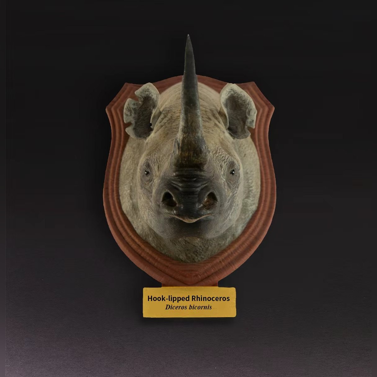 AHB-WA2-02-01-724f58df Animal Heavenly Body - World Encyclopedia of Animals Vol.2 Black Rhinoceros | Figure