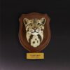 AHB-WA2-04-01-8e66ddee Animal Heavenly Body - World Encyclopedia of Animals Vol.2 Clouded Leopard | Figure