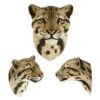 AHB-WA2-04-02-893670fd Animal Heavenly Body - World Encyclopedia of Animals Vol.2 Clouded Leopard | Figure