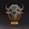 AHB-WA2-07-69cad3fc Animal Heavenly Body - World Encyclopedia of Animals Vol.2 African Buffalo | Figure