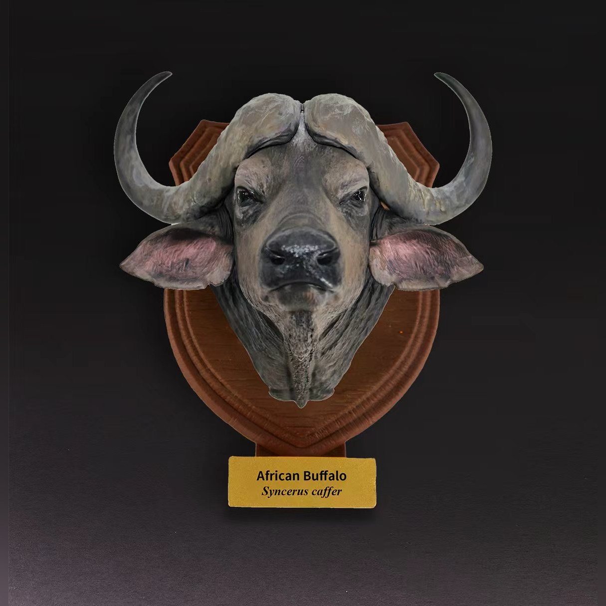 AHB-WA2-07-69cad3fc Animal Heavenly Body - World Encyclopedia of Animals Vol.2 African Buffalo | Figure