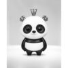 Fools Paradise - POSH PANDA