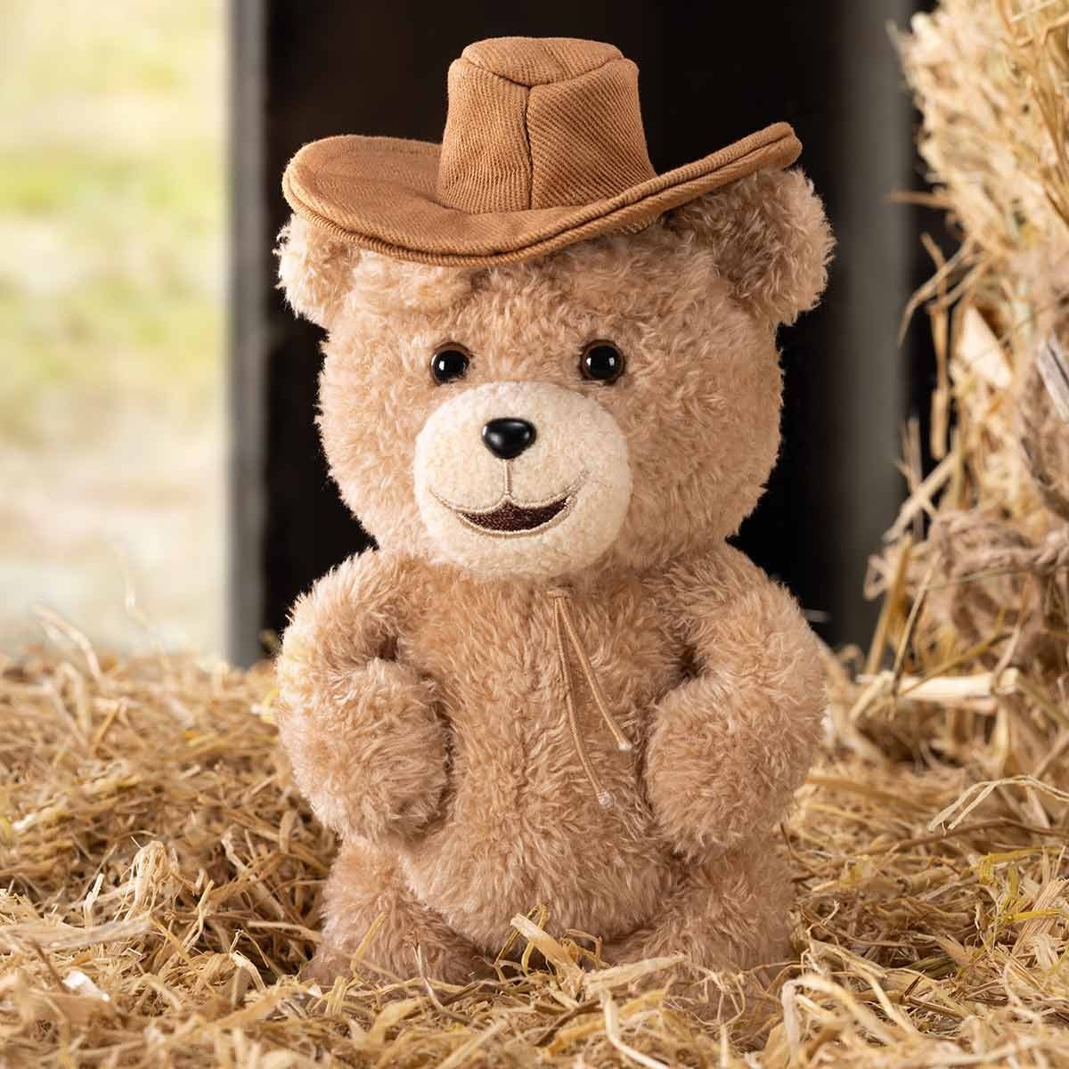 Ted 2 — Teddy Bear Action Plush Blind Box | POP MART